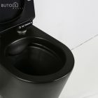 Ride fali, rimless WC soft close ülőkével