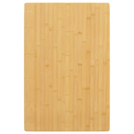 vidaXL bambusz asztallap 40 x 60 x 4 cm