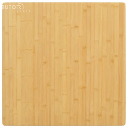 vidaXL bambusz asztallap 80 x 80 x 2,5 cm