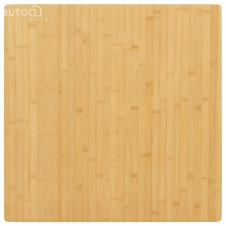 vidaXL bambusz asztallap 90 x 90 x 2,5 cm