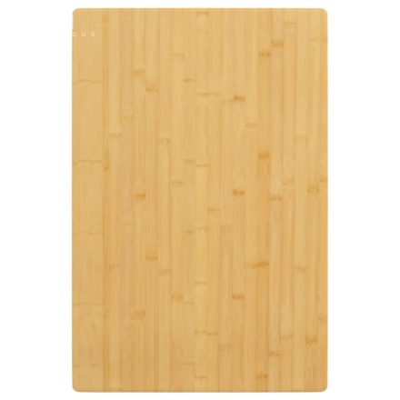 vidaXL bambusz asztallap 60 x 100 x 2,5 cm