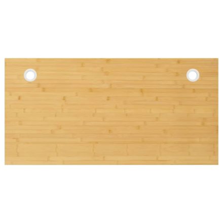 vidaXL bambusz asztallap 100x50x2,5 cm