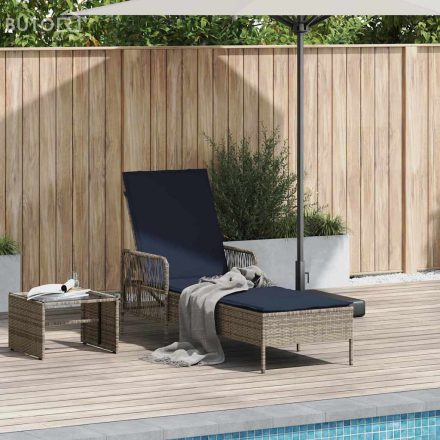 vidaXL Napozóágy Szürke PE Rattan 157 x 55 x 92 cm Összecsukható