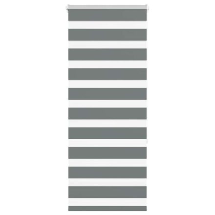 vidaXL zebrafüggönnyel sötét szürke szövetszélesség 50,9 cm poliészter