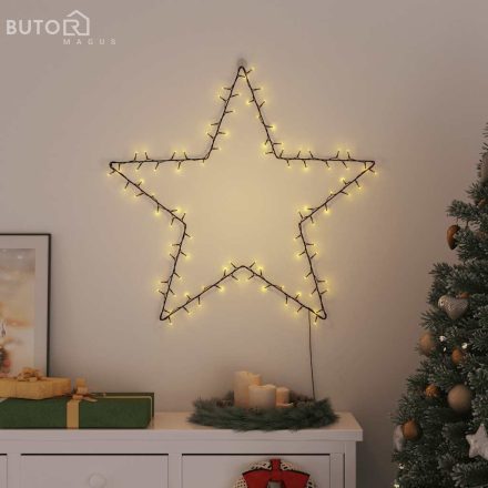 vidaXL meleg fehér karácsonyi fények csillag sziluett 115 LED