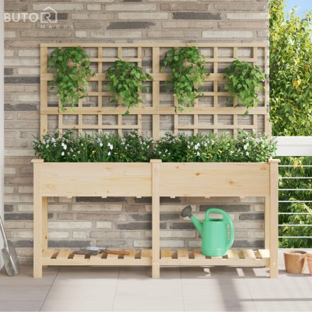 vidaXL Kerti virágláda trellis-szel és polccal 161x43x152 cm Tömör fenyő