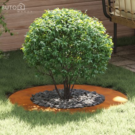 vidaXL Corten acél virágcserép Corten acél Nagy Dekoratív betétek